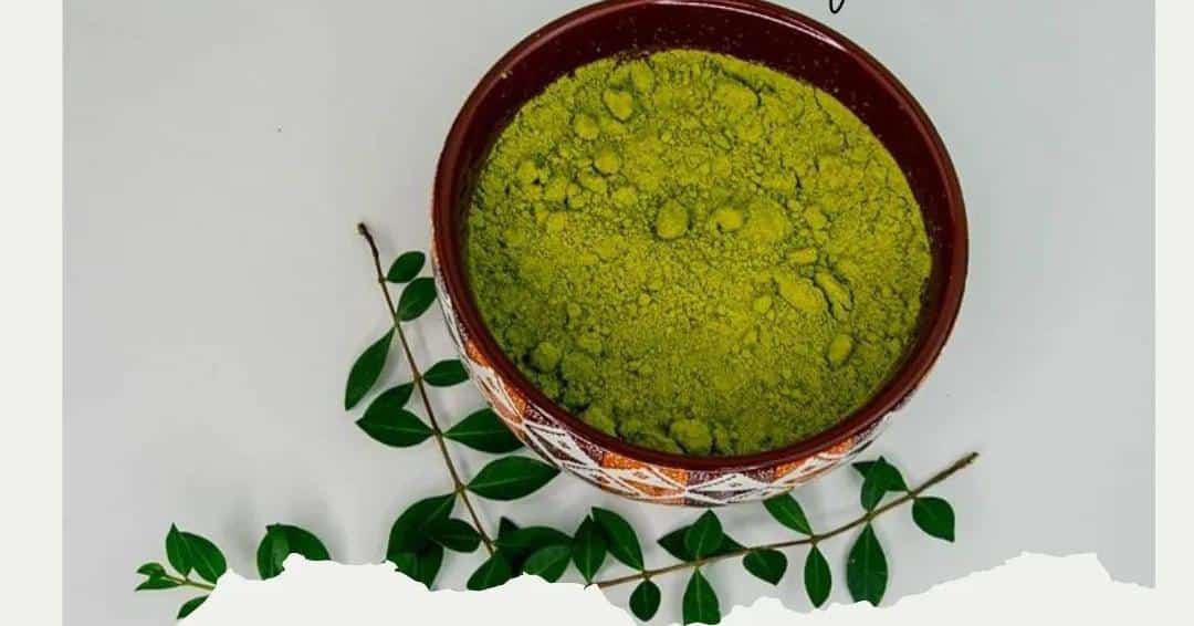 Curry leaves powder